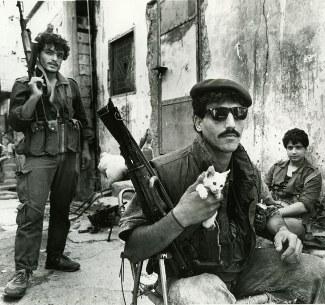 Aline Manoukian, A Palestinian fighter holds a kitten in the refugee camp of Burj Al Barajneh near Beirut.