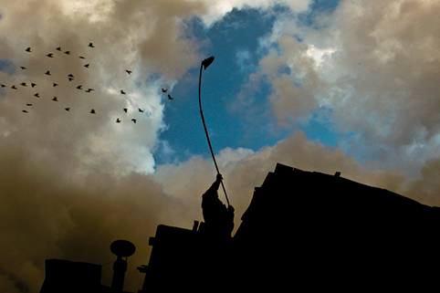 ara_madzounian_pigeon_handler_at_dusk