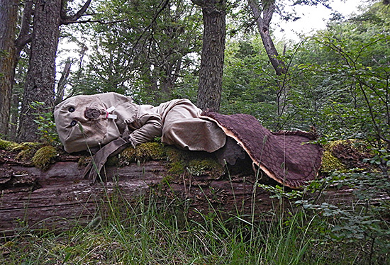 Being (Reclining beaver). Photo: Christy Gast